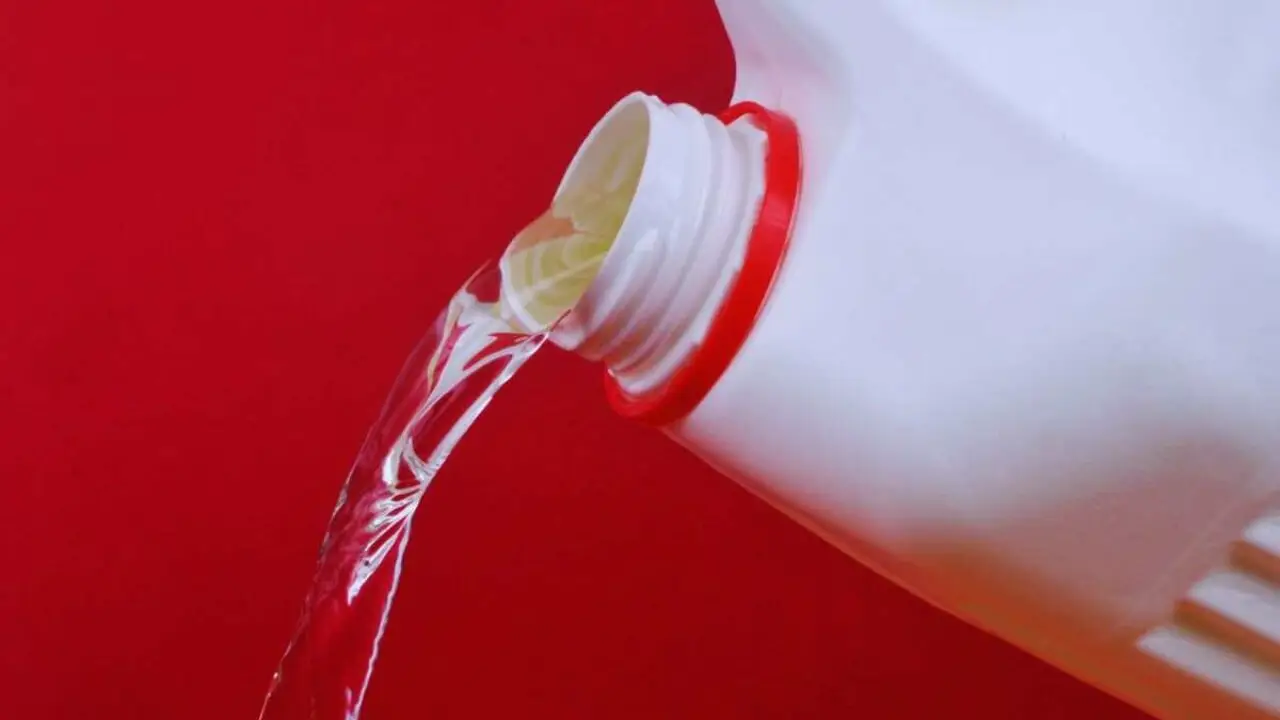 Acqua e candeggina: come usarle in sicurezza per pulire casa e perché è importante conoscere le superfici adatte