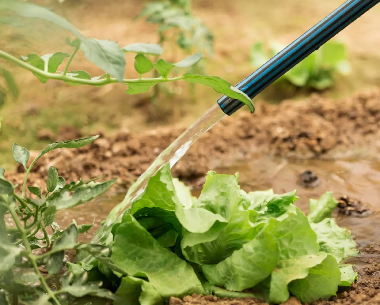 Come forare correttamente un tubo di irrigazione: consigli pratici e cosa sapere prima di iniziare