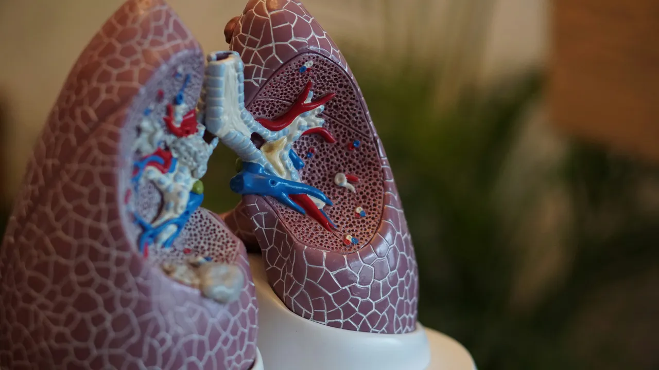 Dolori ai polmoni: dove si sentono e quando bisogna preoccuparsi?