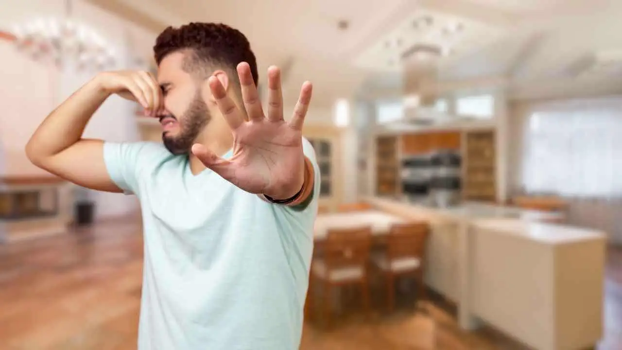 Perché a volte percepiamo gli odori in modo più intenso? Cause, curiosità e consigli per gestire la sensibilità olfattiva