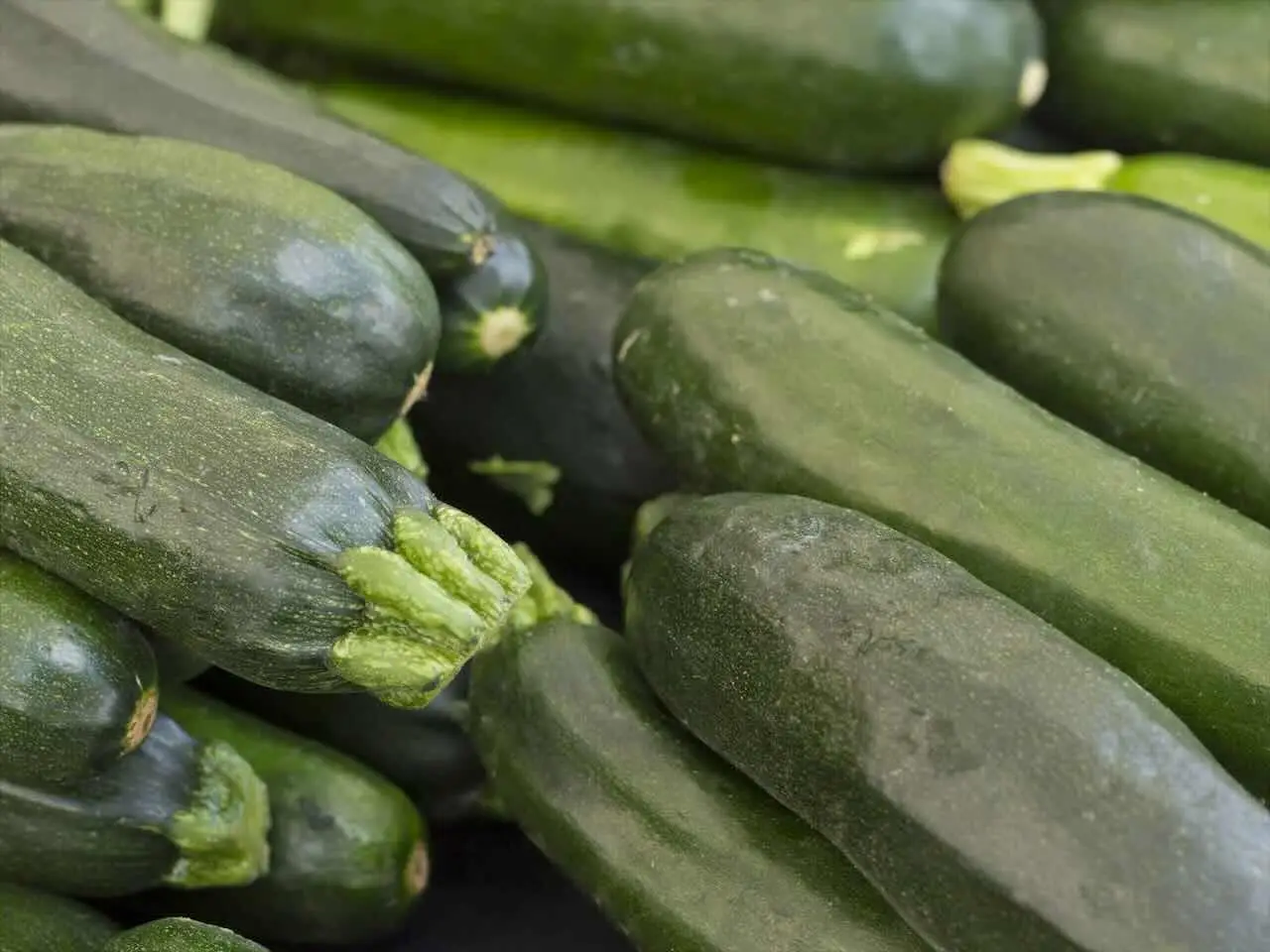 Come coltivare le zucchine grazie agli abbinamenti tra ortaggi
