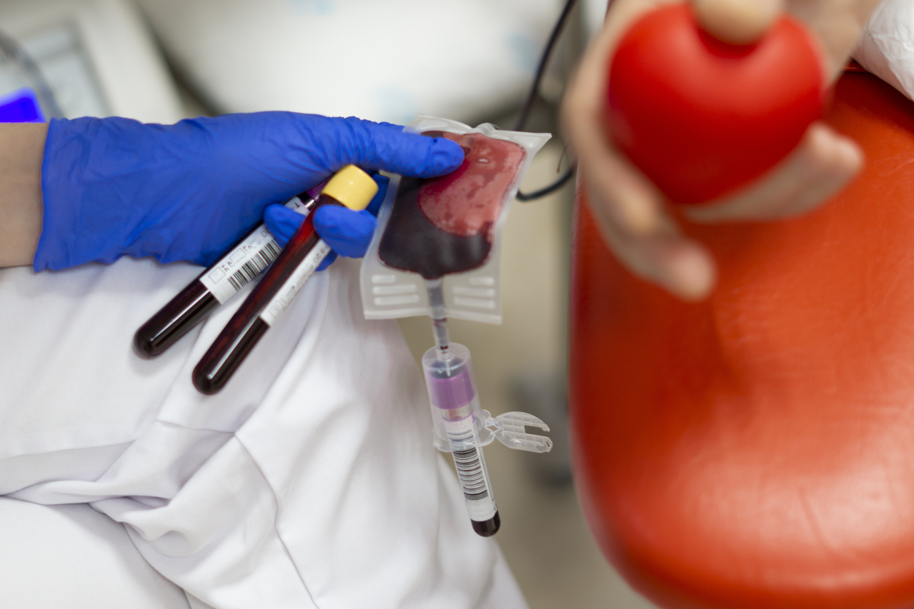 I 7 esami del sangue fondamentali: se non li hai mai controllati, c’è un problema