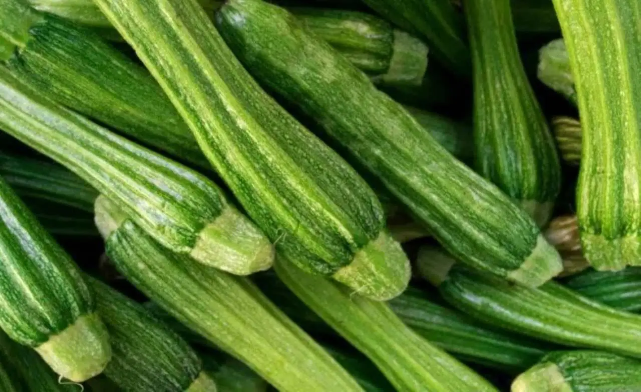 Il metodo per aiutare la crescita delle zucchine: ecco cosa fare a settembre