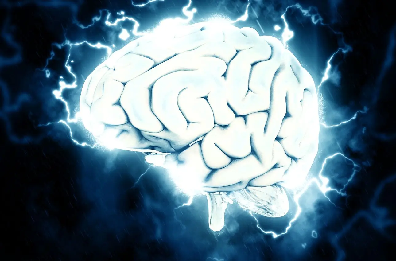 Accelerare il cervello: il trucco perfetto per essere sempre super efficiente