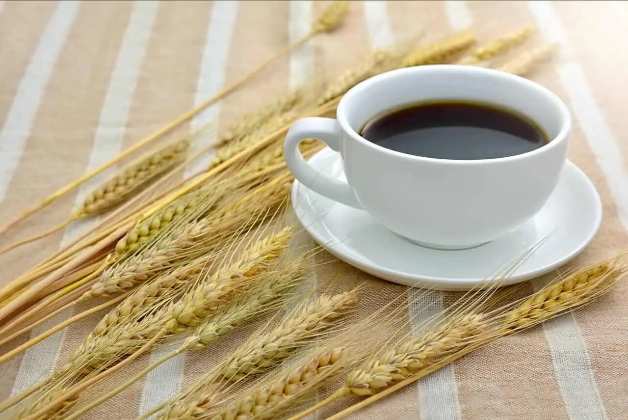 Sei un uomo e bevi caffè d’orzo? Ecco cosa succede davvero alla prostata